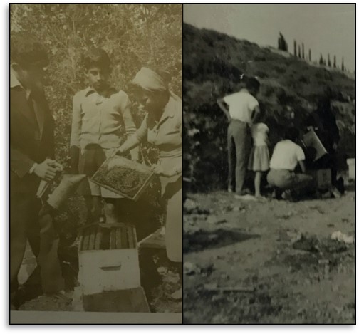 Emmanuel Pantelakis when still a child with this parents at their beehives