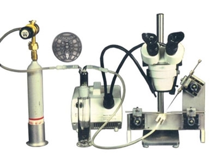 Imagen de categoría Inseminación artificial