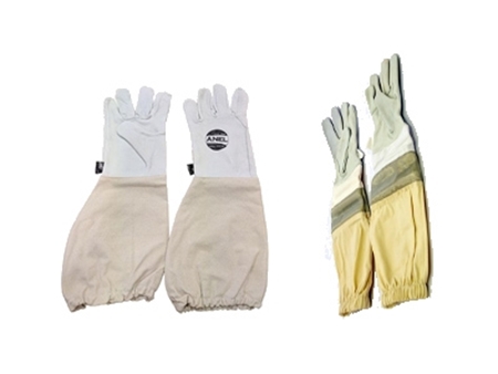 Picture for category Gloves