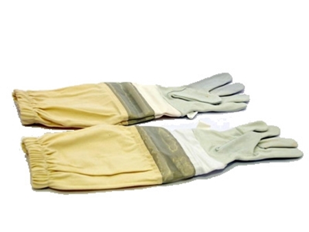 Image de la catégorie Gants en Cuir Aérés