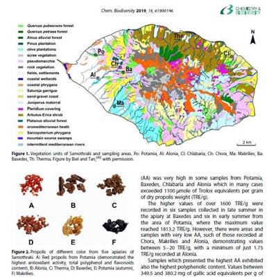 Έρευνα για την πρόπολη της Σαμοθράκης με τη χρή...