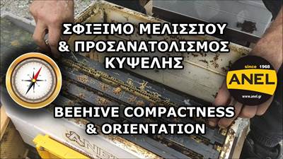 Beehive compactness & orientation