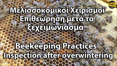 Πρώτη επιθεώρηση Φεβρουαρίου σε μελίσσι μετά το...