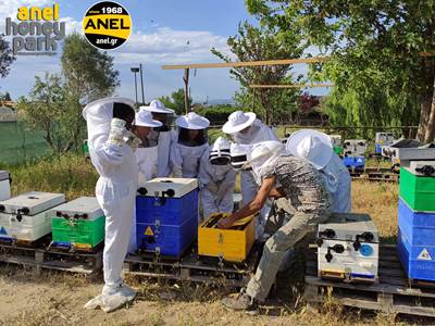 Ημερίδα Εκπαίδευσης στη Μελισσοκομίας για Αρχάρ...