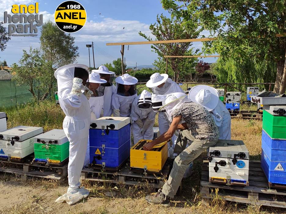 Ημερίδα Εκπαίδευσης στη Μελισσοκομίας για Αρχάριους Γνωριμία με τον μοναδικό κόσμο της μέλισσας. Μελισσοκομικό Πάρκο ΑΝΕL