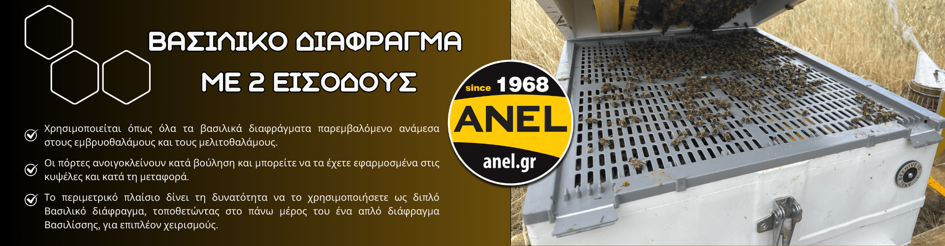 Διάφραγμα Βασιλίσσης Με Δύο Εισόδους Πλαστικό Έγχυτο PP ANEL