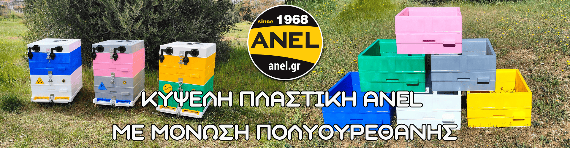 ΚΥΨΕΛΗ ANEL