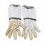 Imagen de Beekeeping Gloves Premium Full Ventil...