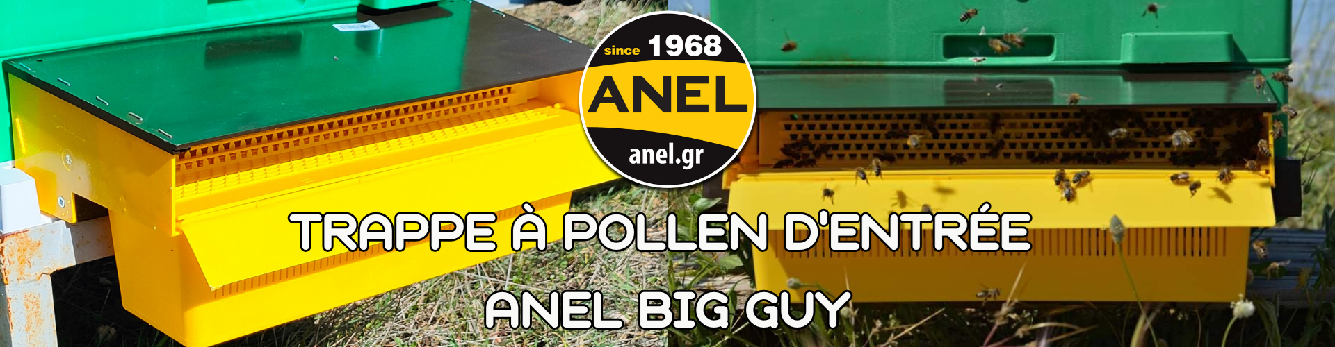 Trappe à pollen d'entrée ANEL BIG GUY