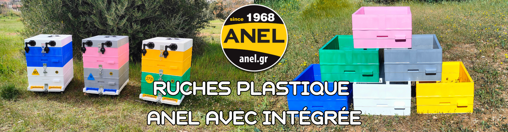 Ruches Complètes ANEL
