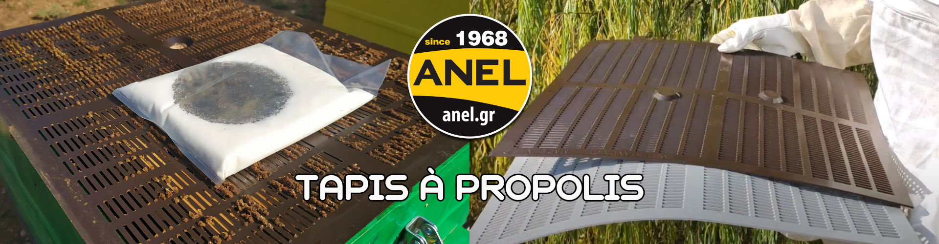 Tapis à Propolis