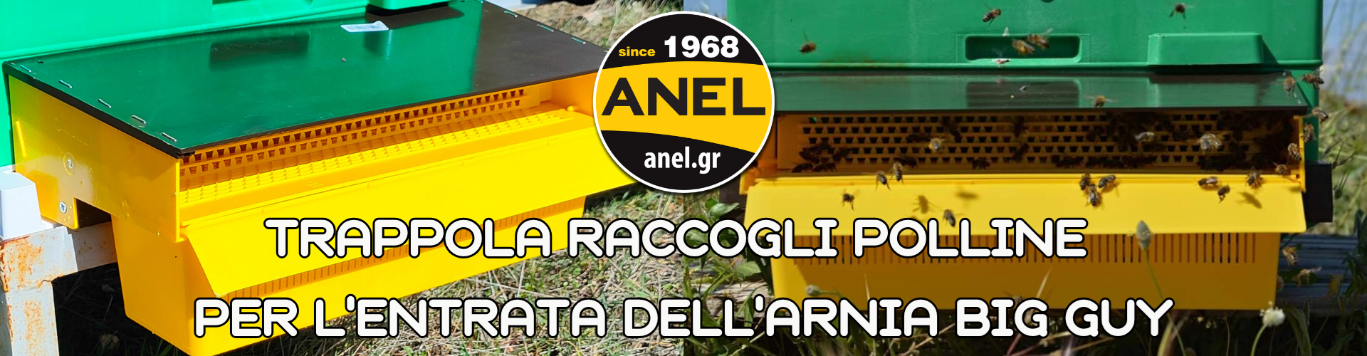 Trappola Raccogli Polline per l'Entrata dell'Arnia ANEL BIG GUY