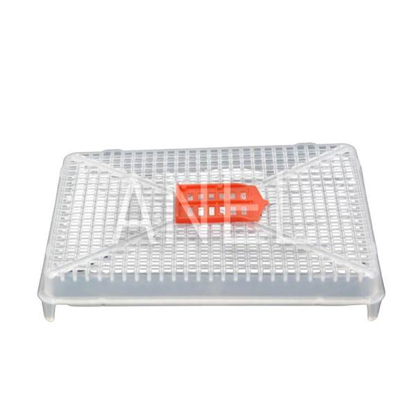 Εγκλωβιστής Βασιλίσσης Επί του Πλαισίου Τετράγωνος Απλός